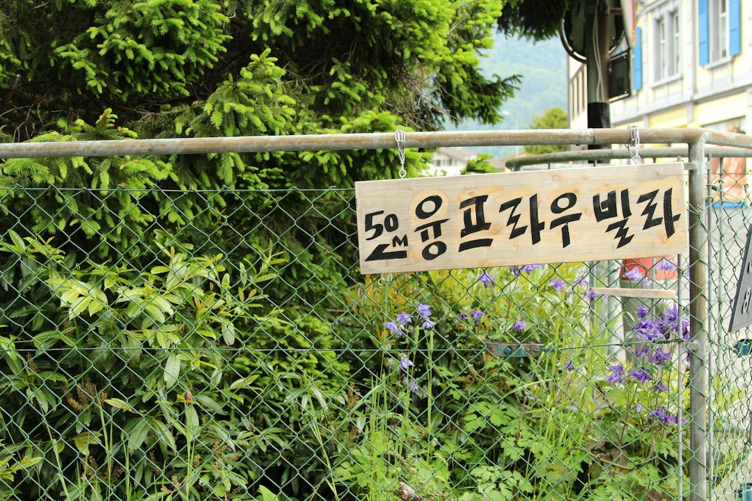 금목걸이가격 참고 이미지 2