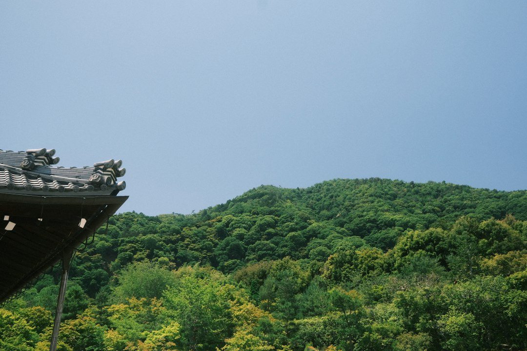 40대명품목걸이추천 참고 이미지 2