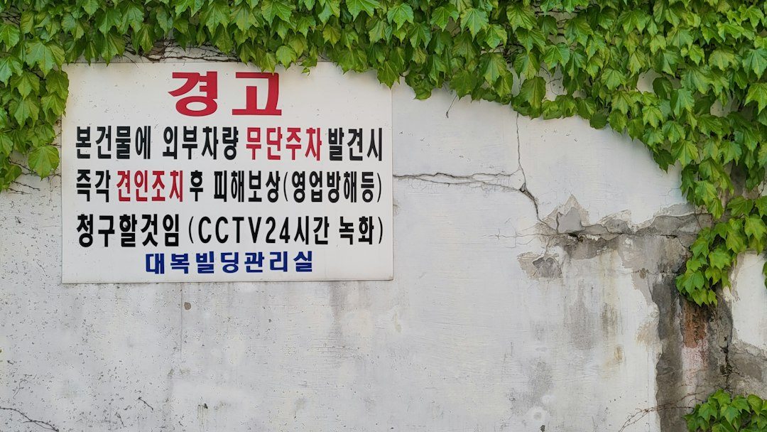 명품스카프추천 참고 이미지 2